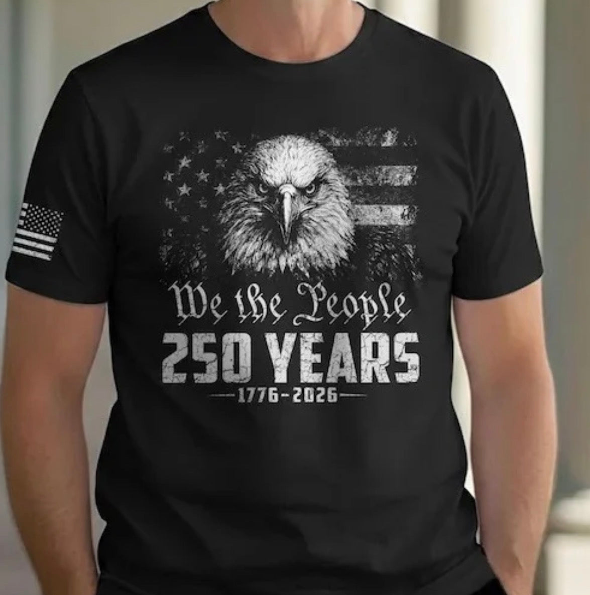 We the people 250 years (tee, crewneck, or hoodie)