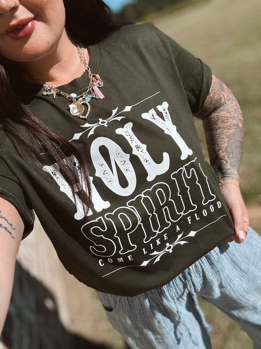 Holy Spirit come like a flood