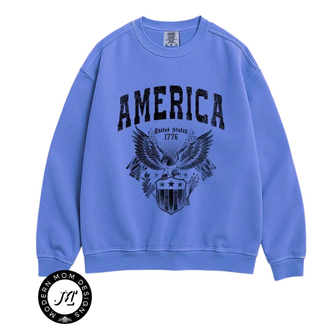 America (comfort colors tee & crewneck)