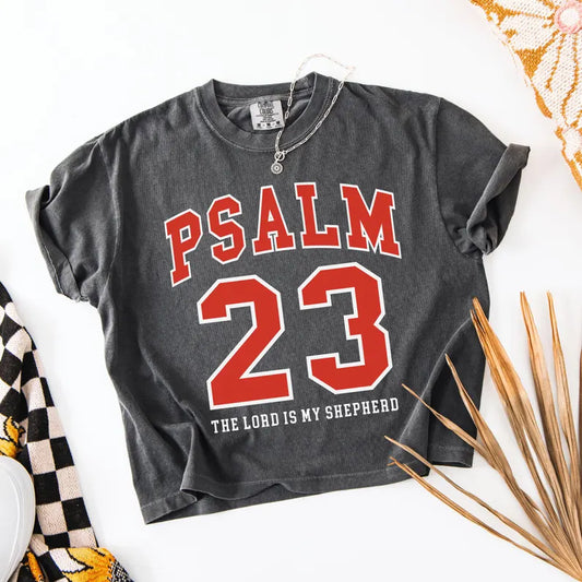 Psalm 23 the lord is my shepherd
