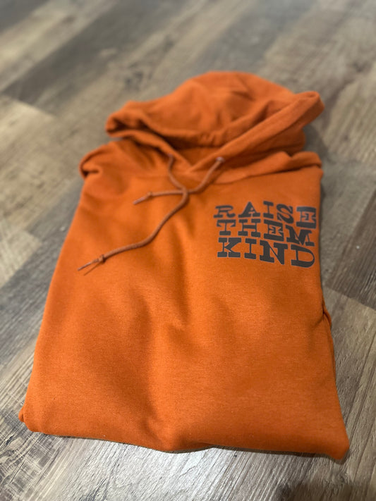 Raise them kind hoodie