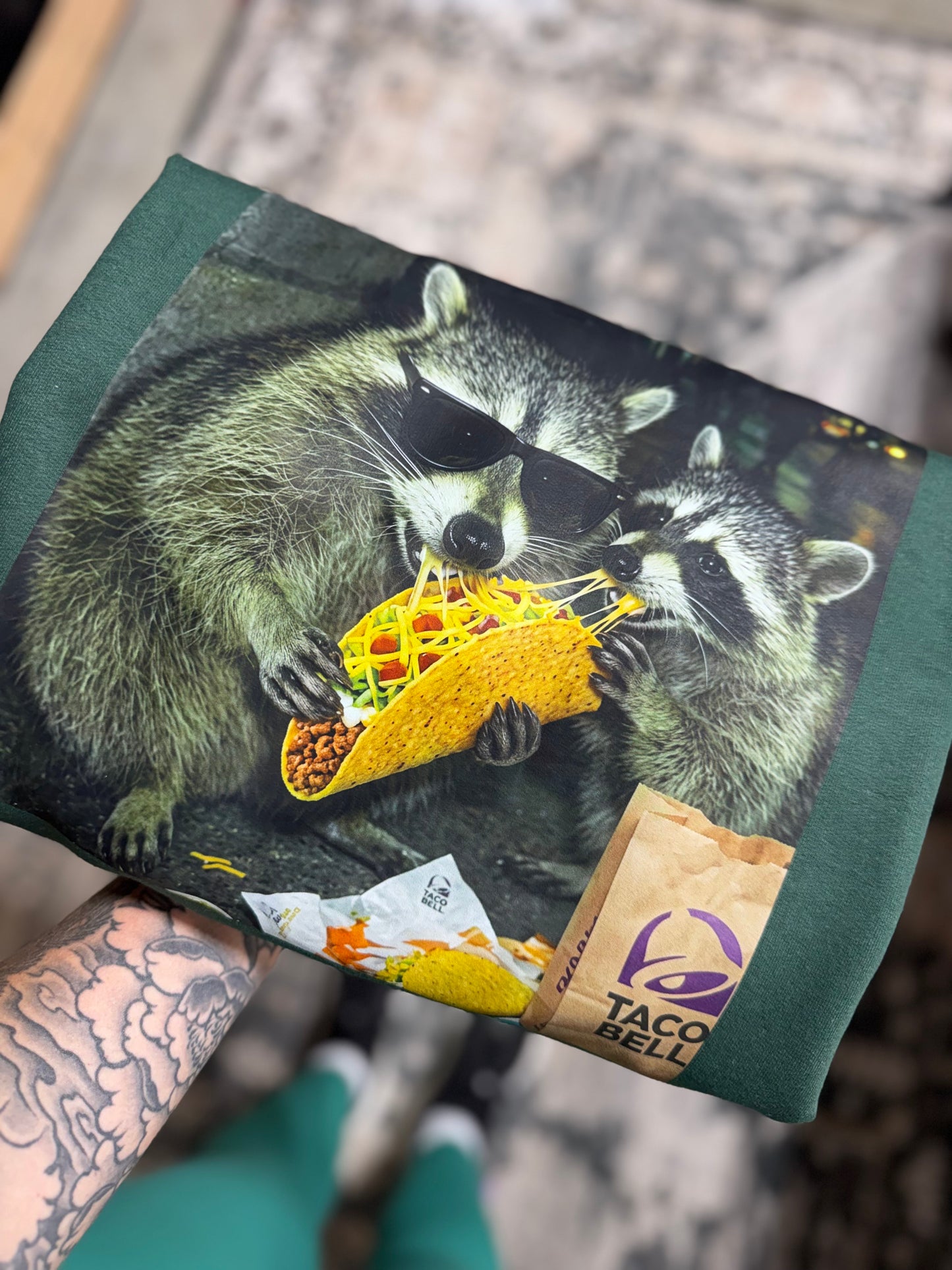 TB raccoons