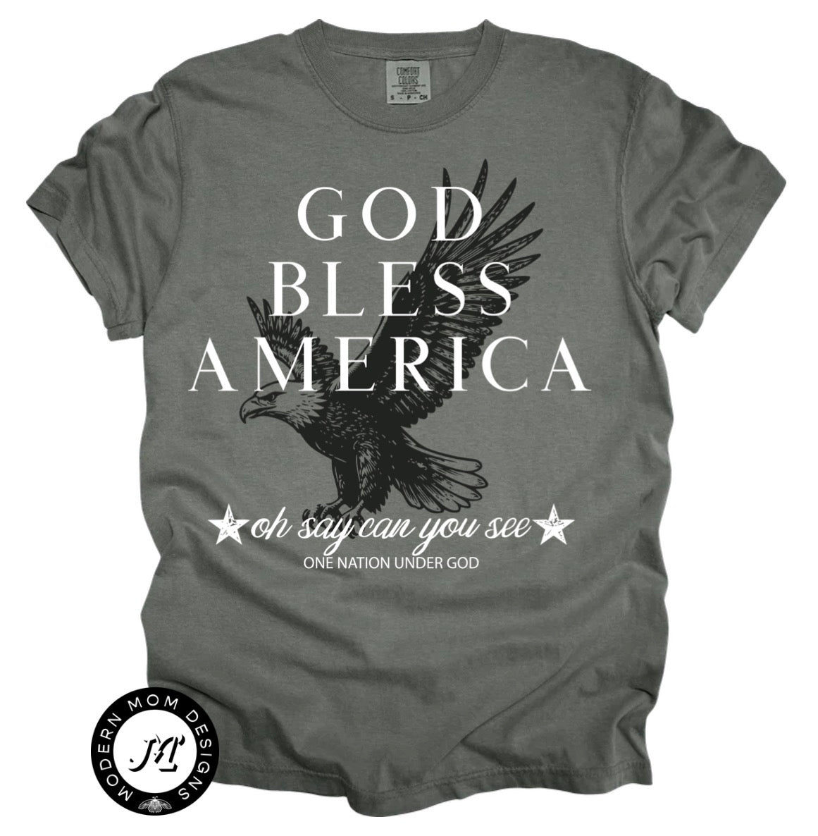 God bless America (tee, crewneck, or hoodie)
