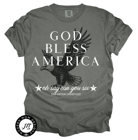 God bless America (tee, crewneck, or hoodie)