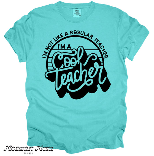 I’m not like a regular teacher