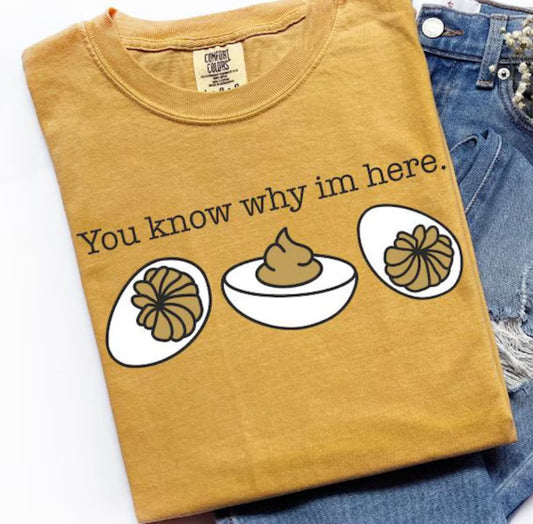 You know why I’m here tee shirt