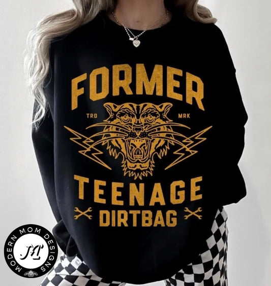 Former teenage dirtbag (tee, crewneck, or hoodie)